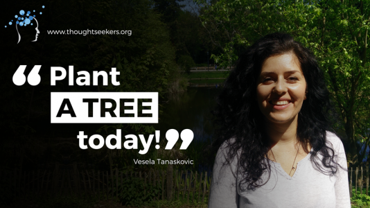 Vesela Tanaskovic Afforest4Future